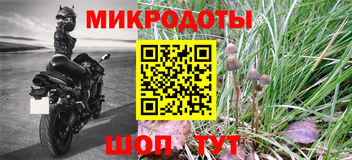 Муром  Псилоцибиновые грибы мухоморы  Вход с VPN 